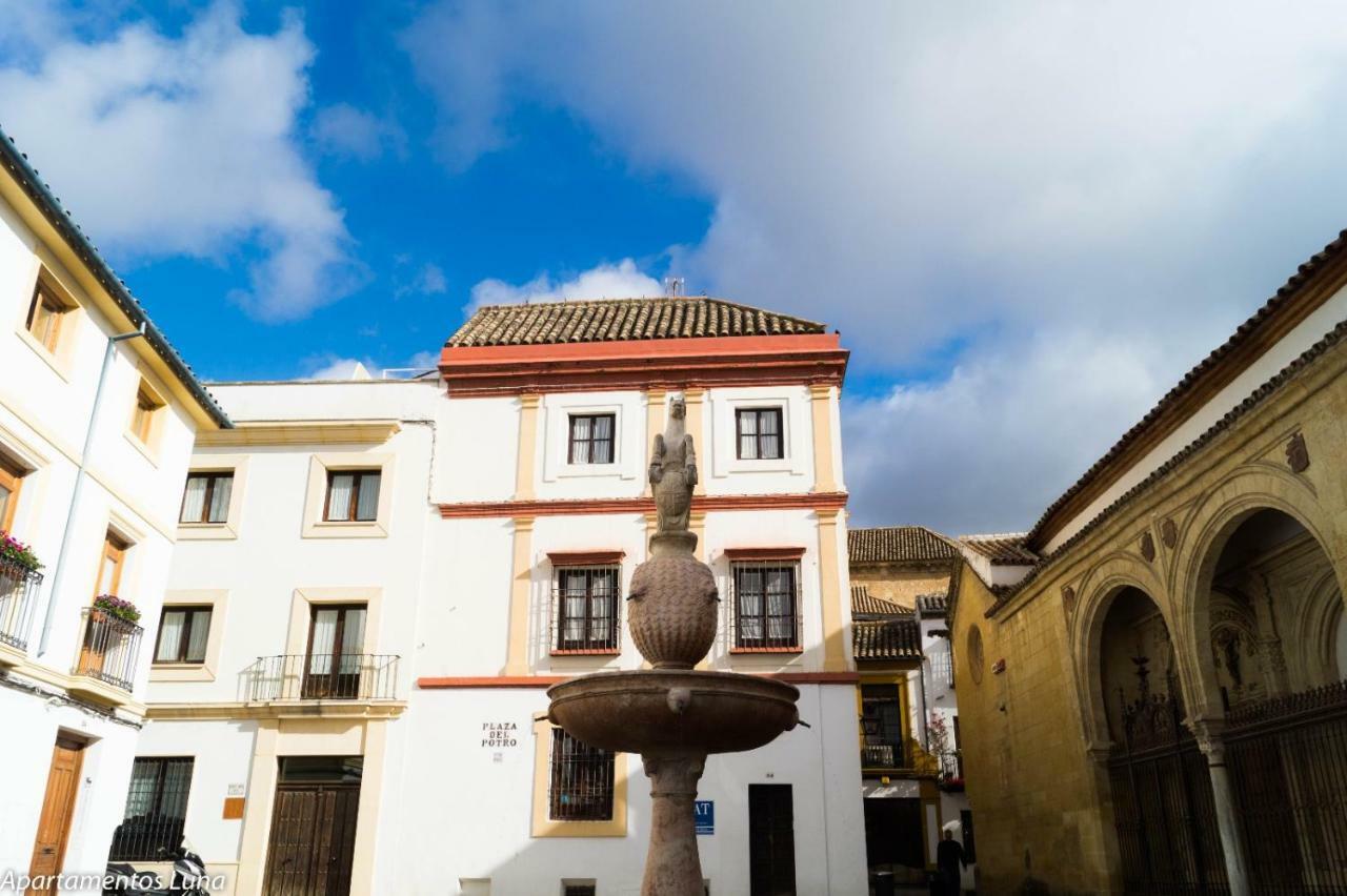 Viviendas Turisticas "La Luna 2" コルドバ エクステリア 写真
